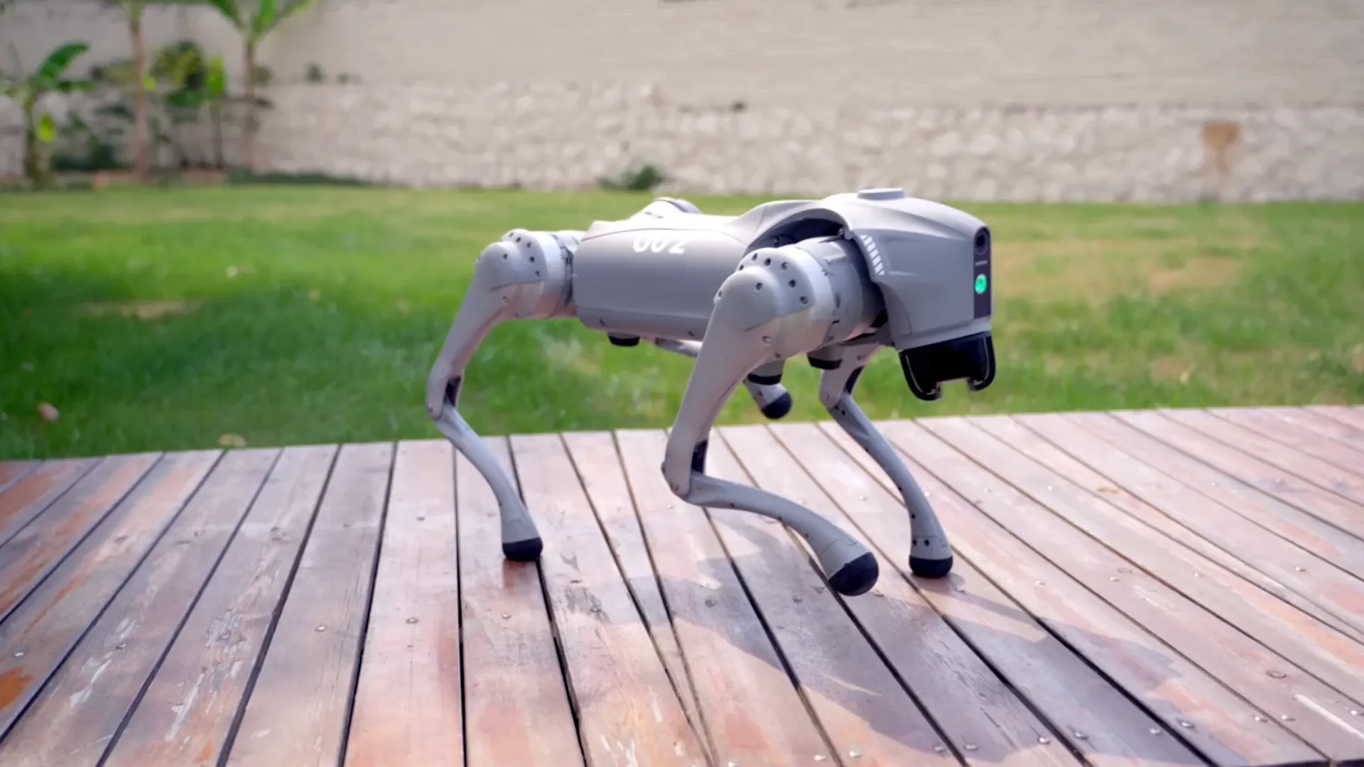 Unitree Go2 quadruped robot